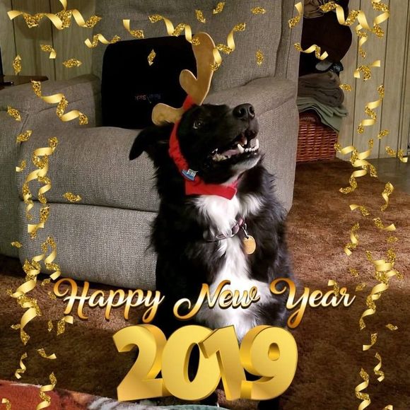 Meet your Posher, Allison - Picture 1 of 1